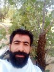 تیمور جهانخواه